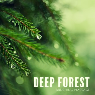 Deep Forest: Brushing Massage, Bath Foam Spa, Forest Aromatherapy, Nature Bathing, Hypersleep