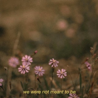 wewerenotmeanttobe