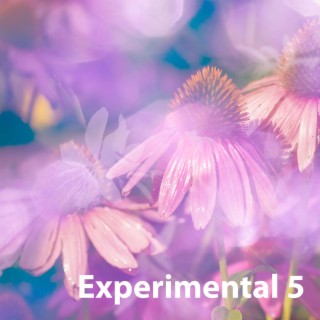 Experimental 5