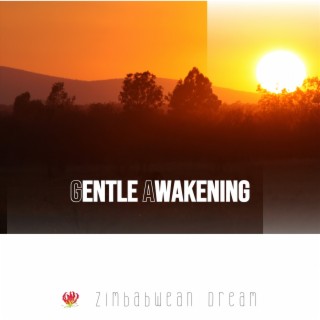 Gentle Awakening: Soft Melodies for Easy Mornings