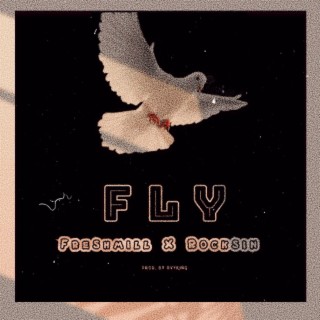 Fly ft. Rocksin lyrics | Boomplay Music