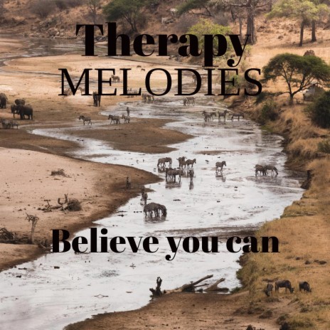 believe you can | Boomplay Music