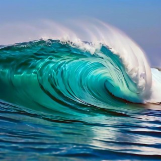 White Wave