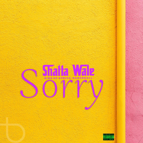 Sorry | Boomplay Music