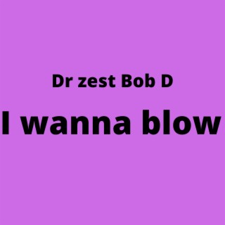 I Wanna Blow lyrics | Boomplay Music