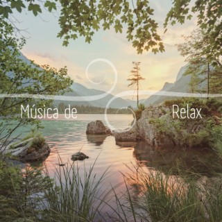 Música de Relax: Música para Mejorar Tu Estado Físico, Mental y Emocional