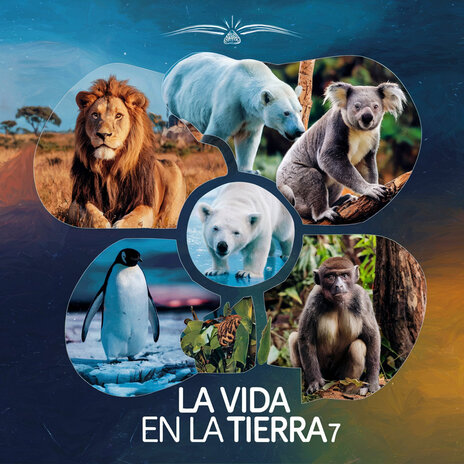 La Vida en la Tierra 7 | Boomplay Music