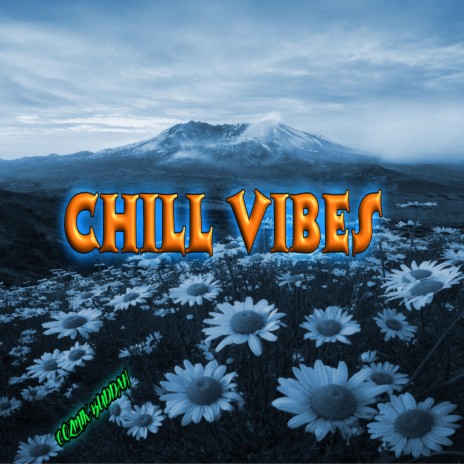CHILL VIBE.D