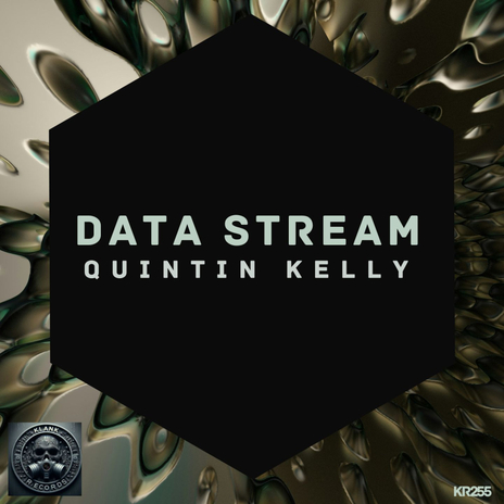 Data Stream | Boomplay Music