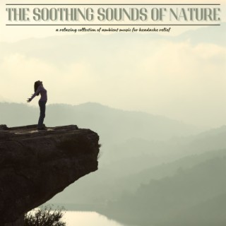 The Soothing Sounds of Nature: A Relaxing Collection of Ambient Music for Headache Relief