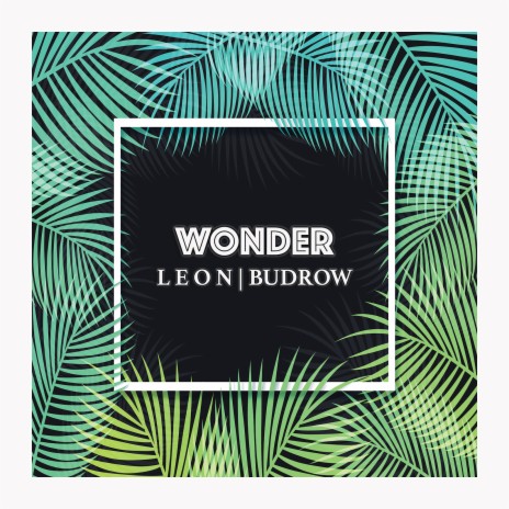 Wonder | Boomplay Music