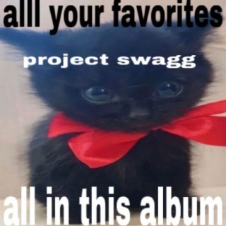 project swagg (all your favorites)