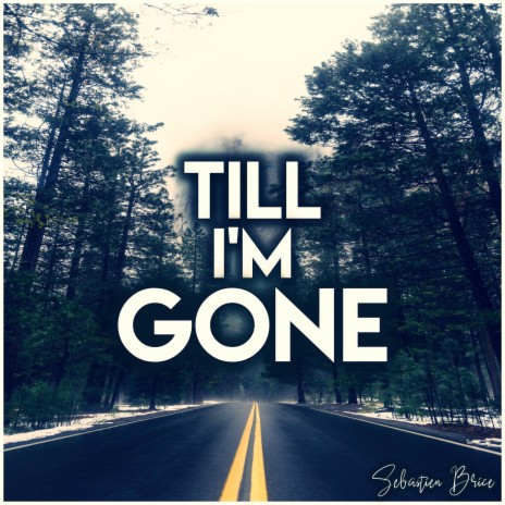 Till I'm Gone | Boomplay Music