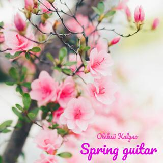 Spring guitar