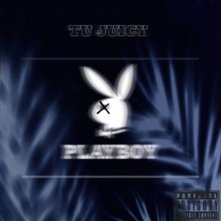 Playboy lyrics | Boomplay Music