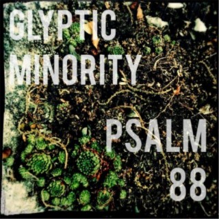 Glyptic Minority