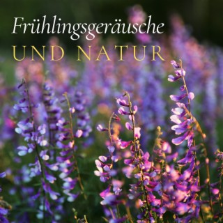 Frühlingsgeräusche und Natur: Entspannende Instrumentalnatur Musik