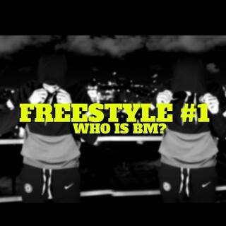 FREESTYLE #1 (WHO IS BM ?)