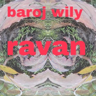 baroj wily