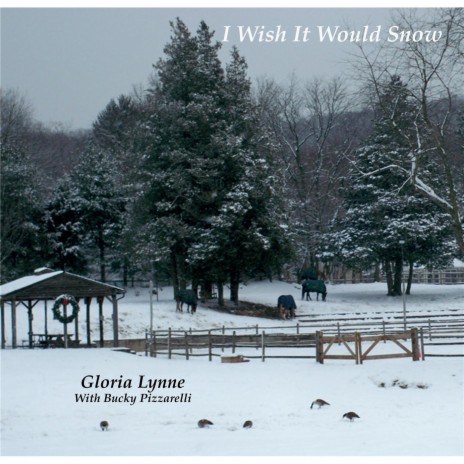 I Wish It Would Snow ft. Bucky Pizzarelli | Boomplay Music