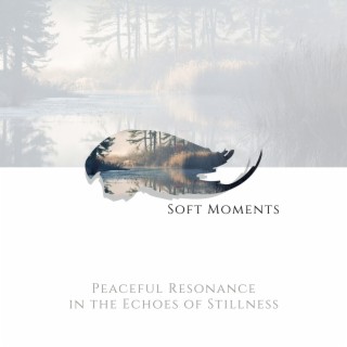 Peaceful Resonance in the Echoes of Stillness