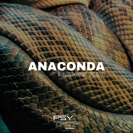 Anaconda | Boomplay Music