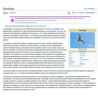 gaviota