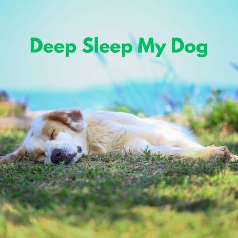 Deep Sleep My Dog ft. Sleeping Music For Dogs & Music For Dogs Peace | Boomplay Music