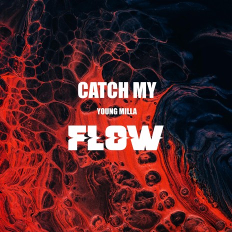 Catch My Flow