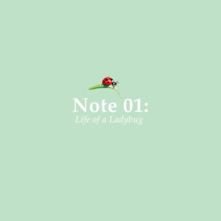 Note 01: Life of a Ladybug