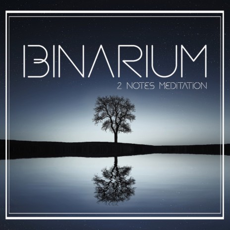 D Binarium Just 2 Notes for Deep Meditation | Boomplay Music