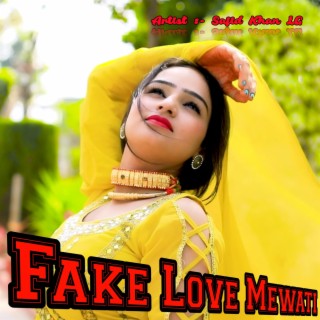 Fake Love Mewati Aadil singer