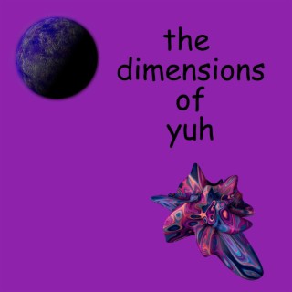the dimensions of yuh