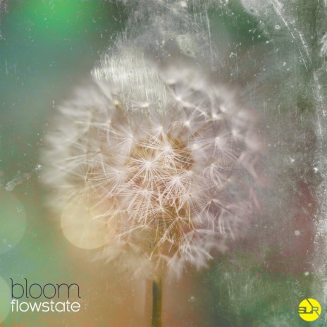 Flowstate | Boomplay Music