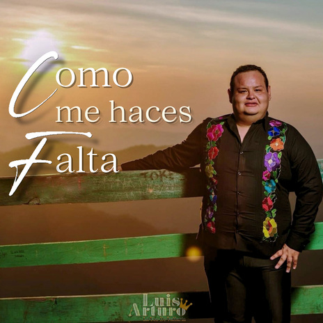 Como Me Haces Falta | Boomplay Music