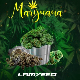 Marijuana lyrics | Boomplay Music