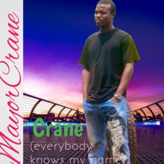 Crane (everybody knows my name) ft. lilfash lyrics | Boomplay Music