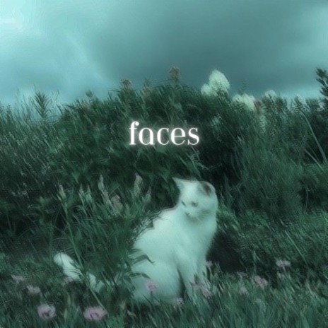 faces (nightcore)