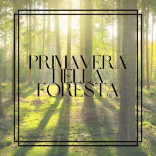 Primavera nella foresta: Canzoni con suoni di uccelli, passeri, bosco, sottobosco, usignoli, merli