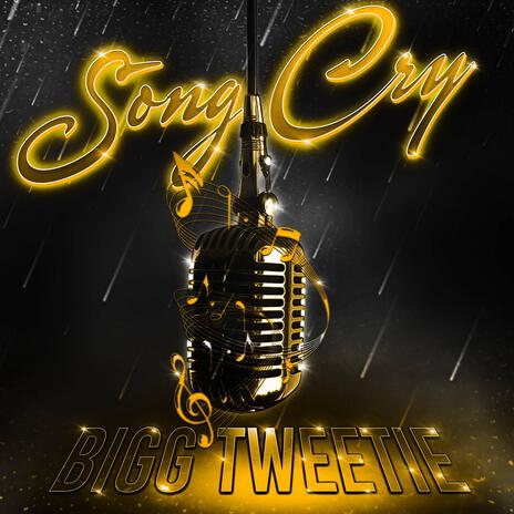 Song Cry | Boomplay Music