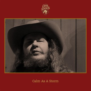 Calm As A Storm lyrics | Boomplay Music