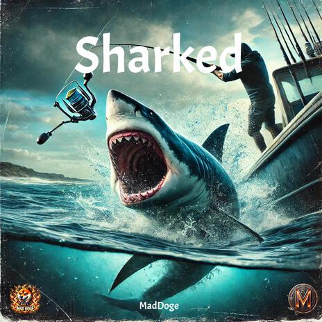 Sharked | Boomplay Music