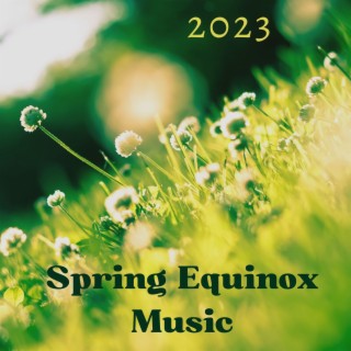 2023 Spring Equinox Music: Chirping Birds, Forest Sounds, Natural Songs