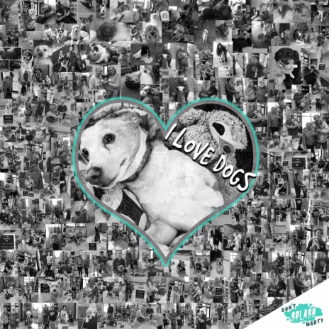 I Love Dogs | Boomplay Music