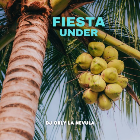 Fiesta Under | Boomplay Music