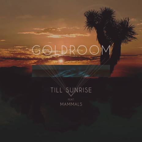 Till Sunrise (feat. Mammals) | Boomplay Music