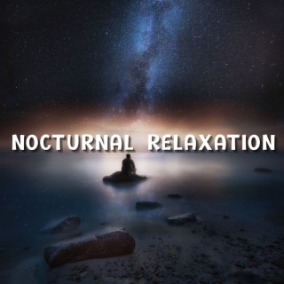 Nocturnal Relaxation: A Journey Through Lucid Dreams and Restorative REM Sleep