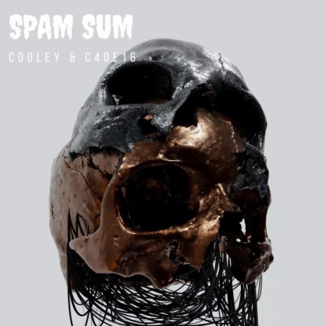 Spam Sum ft. C4oe16 | Boomplay Music