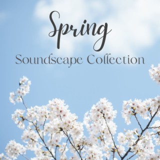 Spring Soundscape Collection: Spring Day Ambience for Nature Therapy