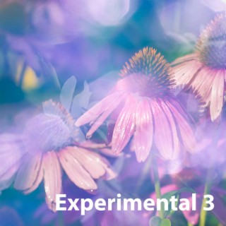 Experimental 3